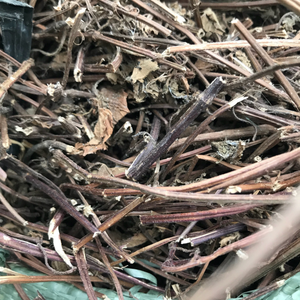 Gelée de plantes du Vietnam en vrac, brute, pour les grands fabricants alimentaires et l'amélioration des saveurs naturelles dans les boissons en bouteille - Product Image 6