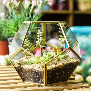 Terrario de vidrio para el hogar, plantador de Metal único para mesa de alta calidad con forma geométrica - Product Image 2