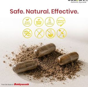 Cápsulas de Resina de Shilajit del Himalaya Premium, Alta Pureza, Ricas en Minerales, Grado Alimenticio, SHREE BAIDYANATH, Precio al por Mayor en Botella, India - Product Image 1