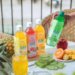 Jugo y Pulpa de Aloe Vera Nawon, Sabor Original, Botella de 500ml, Marca Privada, Fábrica de Jugo de Aloe Vera en Vietnam - Product Image 3