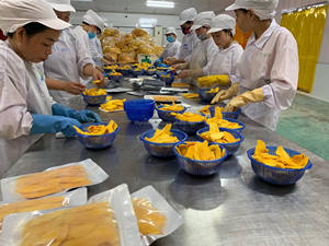 Mango de secado suave, mejillas de mango secas dulces, mejillas de mango sabrosas de precio de fábrica de Vietnam listas para enviar - Product Image 5