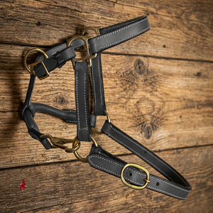 Harnais de cheval 100% cuir véritable de haute qualité, design anatomique, rembourrage doux, boucles en laiton, entièrement personnalisable - Product Image 1