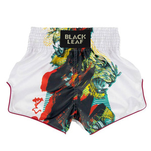 Maßgefertigte Muay Thai Trainings- und Wettkampfshorts Premium Boxbekleidung OEM-Lieferant für Globale Muay Thai Sportarten - Product Image 6