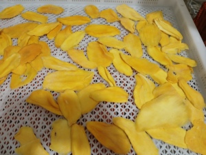 Mangues séchées moelleuses trempées dans du chocolat, usine du Vietnam, vente en gros, emballage en vrac, collation naturelle de mangue, fruits tropicaux séchés, approvisionnement OEM - Product Image 3