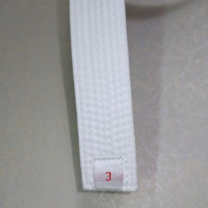 Uniforme de Artes Marciales, Kimono de Judo, 100% Algodón Blanco, 450g, Kimono de Judo - Product Image 5