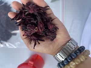 Flor de Hibisco Seca Natural de Fábrica de Vietnam para Té de Hierbas, Venta al por Mayor a Granel - Product Image 3