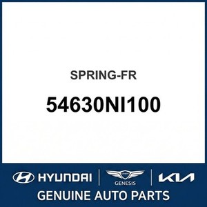 IONIQ 5 ชุดสปริงแบบแผ่นและแบบขดลวด 54630NI100 - Product Image 1