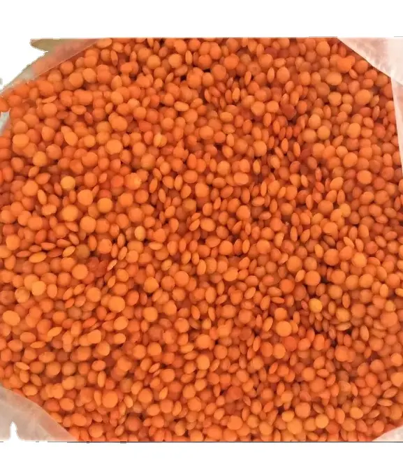 High quality Lentils Beans, Red Lentils Canada, Red Lentil Specifications at best price