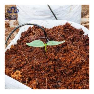 Bloc de tourbe de coco de haute qualité, faible teneur en EC, fibres lavées, milieu idéal pour la culture hydroponique et la germination des graines - Product Image 1