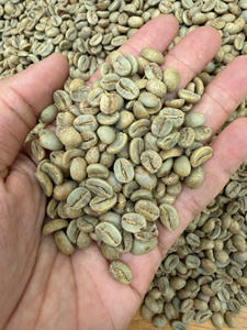 Granos de Café Verde, Proceso Natural, Criba 16, Alta Calidad, Nueva Cosecha 2025 2026, Variedad Robusta - Product Image 2