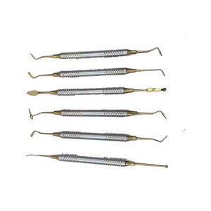 Kit de Instrumentos Dentales para Rellenos de Composite con Mango Dorado, Juego de 6 Instrumentos Profesionales de Restauración Dental - Product Image 5