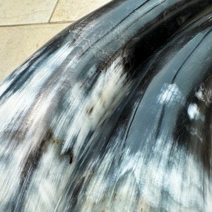 Vaso para beber de cuerno de búfalo negro pulido, marbrado, de bisono, de cuerno en polvo y de cuerno de búfalo auténtico, en varios tamaños - Product Image 3