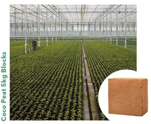Substrat de cosse de noix de coco pour la culture de plantes sous forme de blocs de 5kg de l'exportateur indien de confiance - Product Image 5