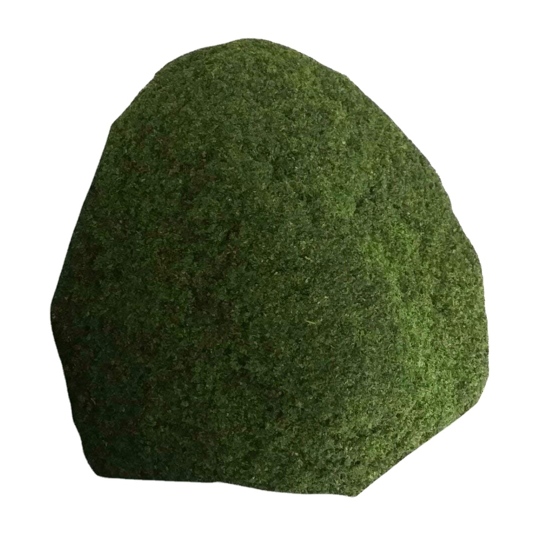 Лидер продаж, экспорт зеленых водорослей, порошок, чип для корма для животных, органическое удобрение