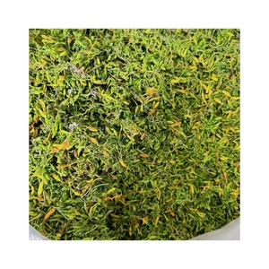 TOP SELLING For Beverage Flavoring Agent Uses And Creating Unique Bitter Soup <b>Foundations</b> Pure Dried Papaya Flower Batches - Product Image 6