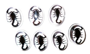 Escorpión Negro, Espécimen Real, Cabujón de Plástico Ovalado de 31x41 mm, Base Plana Transparente para Manualidades y Joyería - Product Image 6