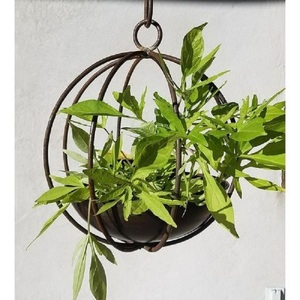 Luxury Black Powder Coated Stainless Steel Hanging Flower <b>Pot</b> with Chain Minimalist Design for Indoor Outdoor Plant Display - Product Image 3