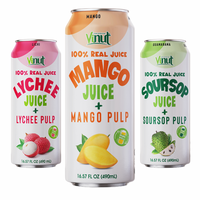 490Ml Vinut Suikervrije Sapdrank Met Pulpvariant Smaken Oem/Odm Private Label Fabrieksprijs Van Vietnam
