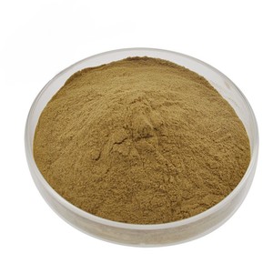 Polvo de Aloe Vera de Calidad de Exportación, 100% Puro, Sin Filtros, Sin Conservantes ni Ingredientes Artificiales - Product Image 4