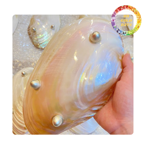 Handmade Polished Shell Plate Decorative Mother of Pearl Plate for Home Decor - Product Image 2