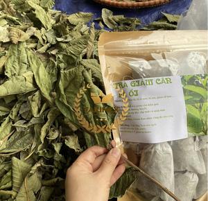 Fabriqué à partir de 100% feuilles de goyave biologiques fraîches Thé de goyave en vrac séché du Vietnam Prix compétitif sur le marché - Product Image 4