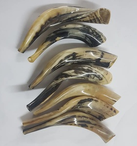 Cuerno de Shofar Pulido Ecológico de la Mejor Calidad para las Festividades Judías, Decoración del Hogar, Música Religiosa de Rosh Hashaná - Product Image 1
