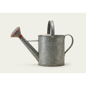 Wholesale Vintage Galvanized Metal Watering Can With Long Spout Durable Iron <b>Garden</b> Watering Pot For Indoor & Outdoor Plants - Product Image 6
