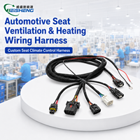 Arnés de Cableado Electrónico para Ventilación y Calefacción de Asientos de Auto Weisheng ISO9001, 18AWG, Reemplazo OEM, IP67