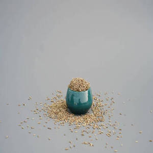 Nouvelle saison de graines de cumin entières indiennes pour les détaillants internationaux, les acheteurs en gros et les fournisseurs professionnels d'ingrédients alimentaires - Product Image 5