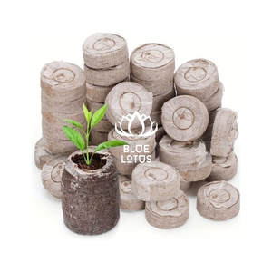 Granulés de coco les plus vendus – Combustible biomasse propre pour le chauffage des chaudières et l'énergie industrielle, faible teneur en cendres et stockage facile pour les acheteurs - Product Image 1