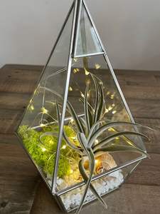 Terrarium hexagonal de luxe en verre pour plantes succulentes, mousse ou plantes aériennes – Contenant artistique transparent pour la décoration intérieure moderne - Product Image 2