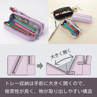 Trousse à crayons Raymay Fujii Twiny à double compartiment, grande capacité, fermeture éclair en PVC, pochette à stylos, poche en filet, pour l'école et le bureau, Japon, UV