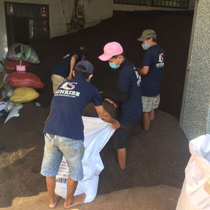 Poivre noir élevé au Vietnam de haute qualité Concentration 200-600G/L Herbes d'épices simples mobiles nettoyées à la machine - Product Image 2