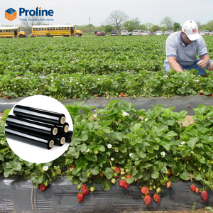 Film de paillage agricole réfléchissant noir argenté en polyéthylène, barrière anti-mauvaises herbes, couverture de sol en plastique, rouleau d'épaisseur 0,01-0,20 mm - Product Image 6