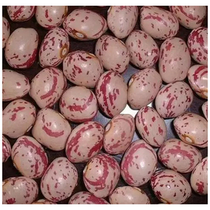 Frijoles Pinto Secos Naturales con Puntos Claros para la Venta, Frijoles Azucarados - Product Image 1