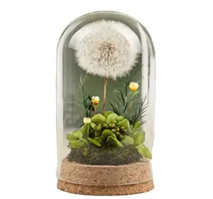 アマゾン売れ筋2023花のセンターピース植物テーブルアレンジメントガラスドームの保存されたタンポポの花