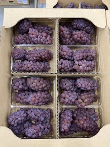 Uvas Verdes, Rojas, Frescas y Negras de Alta Calidad, Variedad Exclusiva de Japón - Product Image 2