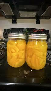 Mangue en conserve naturelle du Delta du Vietnam, 100% mangue, paquet de 1 kg, origine Vietnam, durée de conservation de 24 mois - Product Image 2
