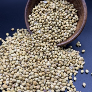 Semillas de Cilantro Eco Export Eagle, Especias Naturales con 2 Años de Duración para Cocinar - Product Image 2