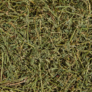 Heno de Timothy de Alta Calidad, Tallo Largo, Alto en Fibra, para la Salud Digestiva Equina - Product Image 6