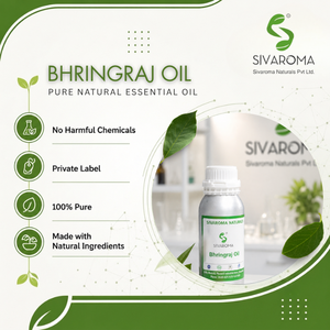 Huile de Bhringraj Premium, huile végétale naturelle à base de plantes pour les formules de soins capillaires, la fabrication de produits de soins personnels et l'industrie cosmétique - Product Image 2