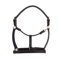 Collier de tête pour cheval OEM Western Equine en cuir de vache argentin fait main avec gravure tournesol et sangles en nylon réglables