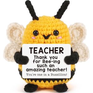 Regalo de Agradecimiento Personalizado para Maestras de Matemáticas, Danza, Inglés y Ciencias, para Navidad, Graduación, Despedida - Product Image 1