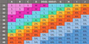 Womens Plus Size Sports <b>Bra</b> <b>Front</b> <b>Closure</b> Wirefree Breathable Lace Design - Product Image 6