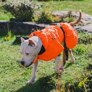 Giacche Impermeabili e Calde per Cani di Piccola Taglia, Taglie XL e XS, Gilet Sportivo Regolabile con Cordoncino - Product Image 2