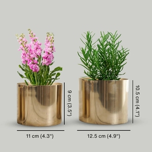 Juego de Macetas Modernas de Lujo en Metal Dorado Brillante – Recipientes Cilíndricos Pulidos para Plantas de Interior, Suculentas y Adornos de Mesa - Product Image 3