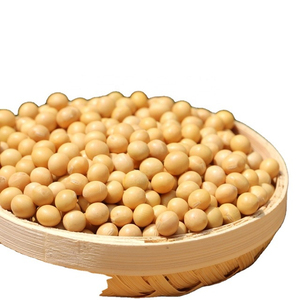 Soja No Transgénica de Alta Calidad al por Mayor para Producción de Ingredientes Alimenticios Comerciales - Product Image 3