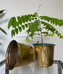 Maceta de verduras hecha a mano de estilo moderno con remaches, acabado recubierto de polvo para maceta de jardín doméstico, latón de Azora Industries - Product Image 4