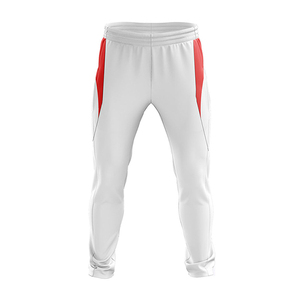 Turn <b>Down</b> Collar Men's Cricket Uniforms New Design Cricket Jerseys New Model Best Cricket Uniform Digital Sublimation Printed - Product Image 3