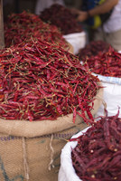 Piment rouge Teja de qualité supérieure, naturel et non transformé, qualité d'exportation